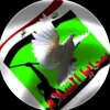 user2828617752078