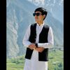damisardar1
