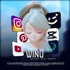 this_winu_bro