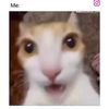 itsot.alan