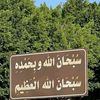 user2223852023738
