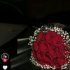rima_n28