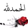 alashudbfh8