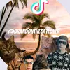 brandonthecatlover