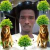 dari.___as6881