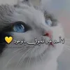 user4214611672402