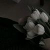ramma_569
