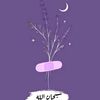 abdalhalemabdallh