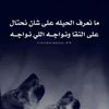user8631257152439