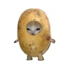 Renovated Potato