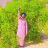 hamdan.mht6