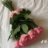 mella_663