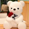 127ali.sule