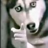 ms.stickafootupyoas