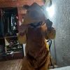 ema_datee_cuentaa