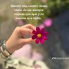 userelizz496