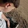 dorel_6