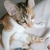kotchapornpranpaw