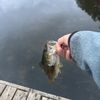 fishing_for_life22714