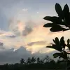 van_63829284920