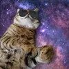 catzix_editz