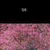thichanca12342