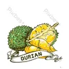 durianshopvtnn888
