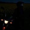 user4511869065004