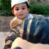nasir.alijutt6