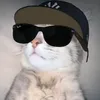 swag_18_6uk85