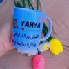 naima.ouattab1