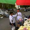 vian_wle