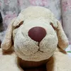 nomisou6
