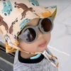 ghavin.bukan.apin
