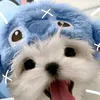 aprilroaagohayo80