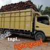paijo4650