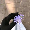 sokayna.sokayna041