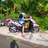 nopall_prd