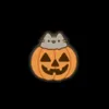 ivershien.chua