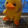 pablo_the_duck12