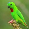 irfandi.irfan58