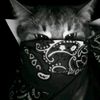 nadin48
