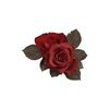 roses_na_pole