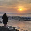 lexibanana6