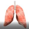 Breath Challanges