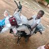 abdalazimabbakr