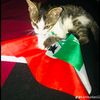 samira.abdi46