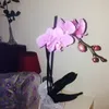 zoleeka19901004