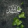 user1956548197268
