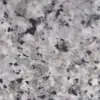 q4456666
